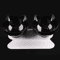 NonSlip Double Elevated Cat Bowl Set Inclined Food Water Feeder For Cats And Small Dogs 9