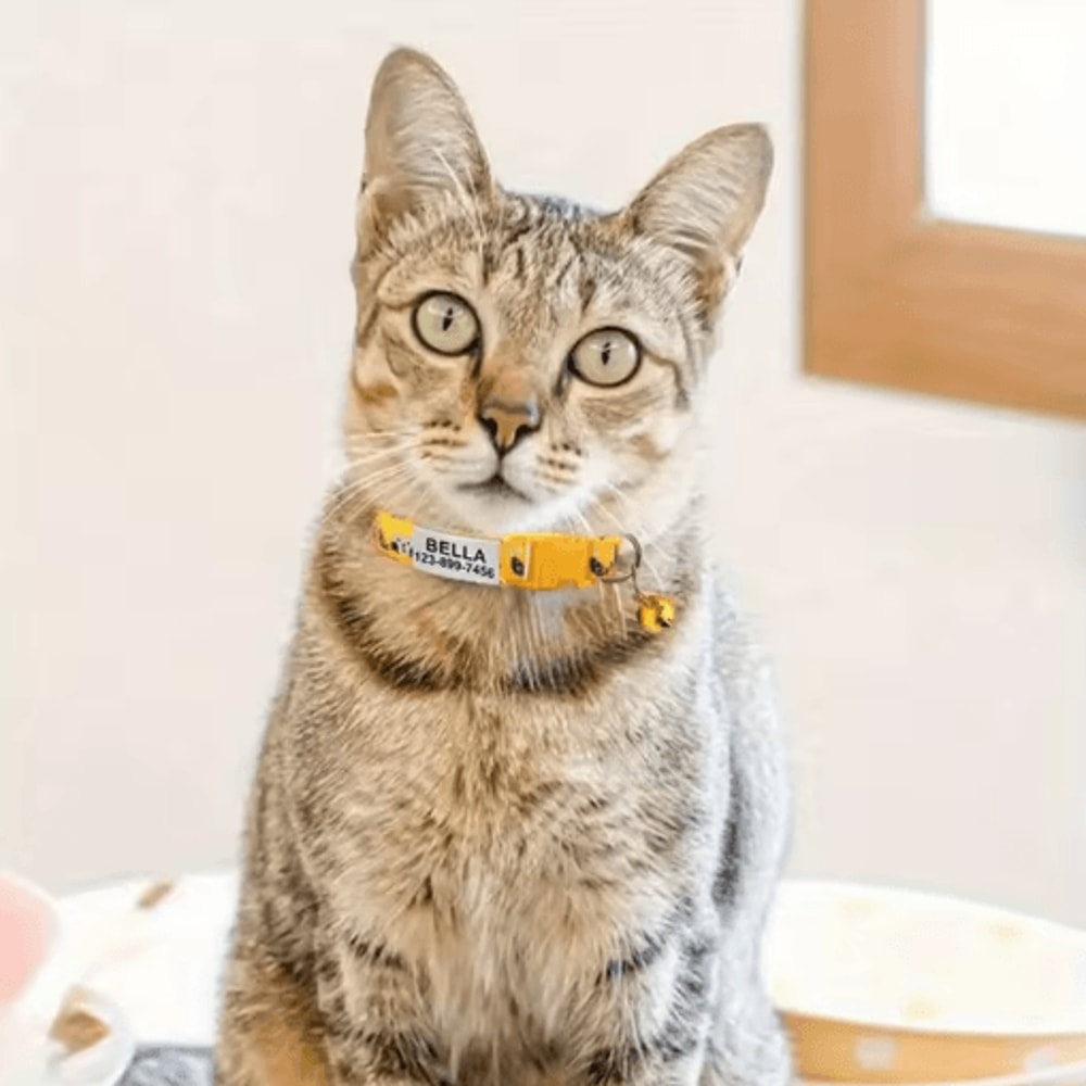Personalized Cat Collar With Bell Custom Engraved Name Tag Collar For Cats Kittens 9