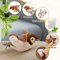 Rechargeable Interactive Flapping Bird Cat Toy Interactive Cat Toy With Chirping Sounds Catnip Poc 1