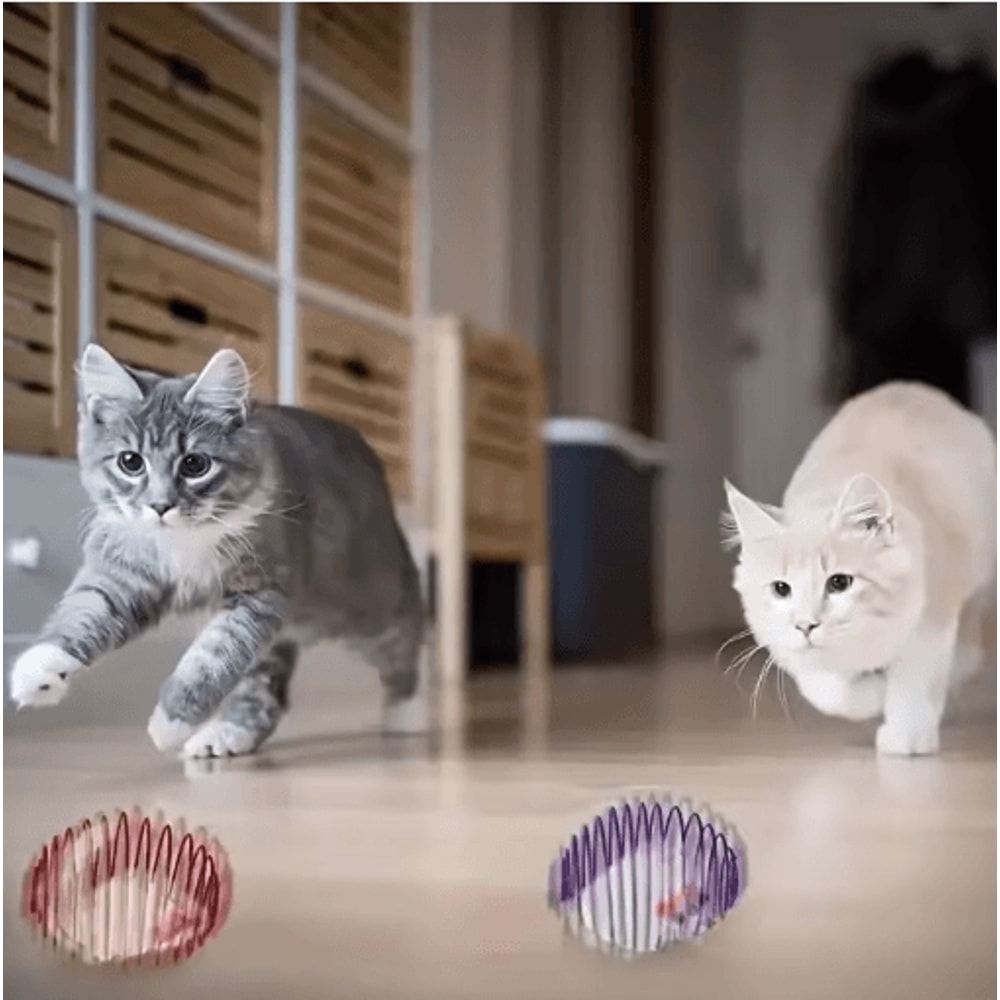 Interactive Cat Toy Ball Spring Set Cat Toy Balls For Chasing Hunting Active Play 4