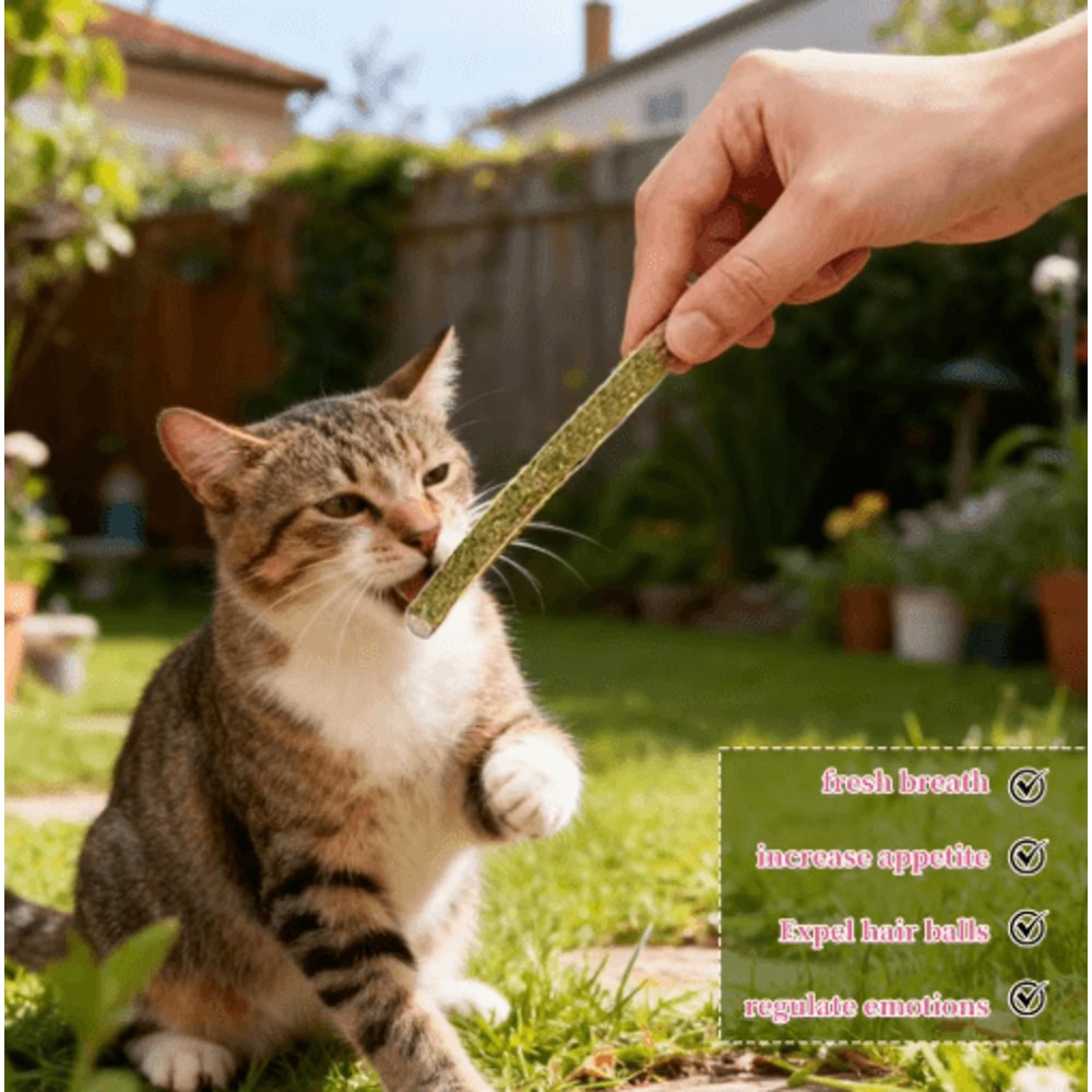 Natural Silvervine Cat Chew Sticks Set Silvervine Cat Sticks For Dental Care Play Enrichment 4