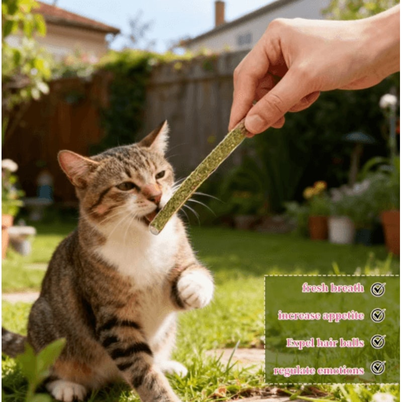Natural Silvervine Cat Chew Sticks Set Silvervine Cat Sticks For Dental Care Play Enrichment 4