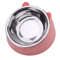 Elevated Stainless Steel Cat Feeding Bowl Cat Bowl With Ergonomic Inclined Design For Comfortable E 6
