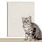 SelfAdhesive Cat Scratching Pad Cat Scratching Pad For Furniture Protection DIY Scratching Areas 3