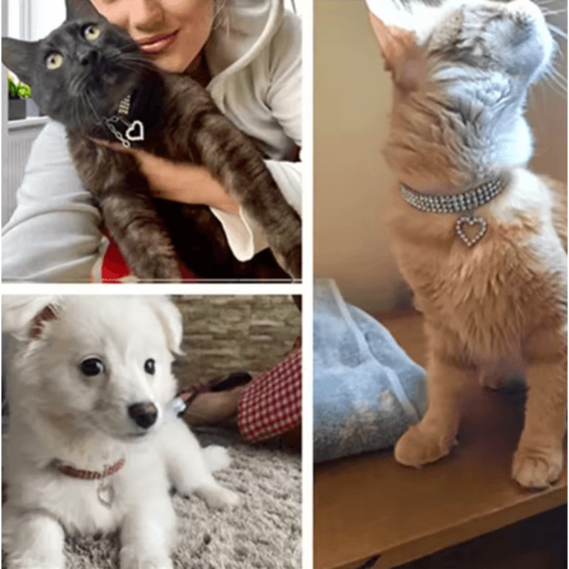 ThreeRow Rhinestone Pet Collar Rhinestone Pet Collar For Cats Dogs With Elegant Heart Charm Design 7