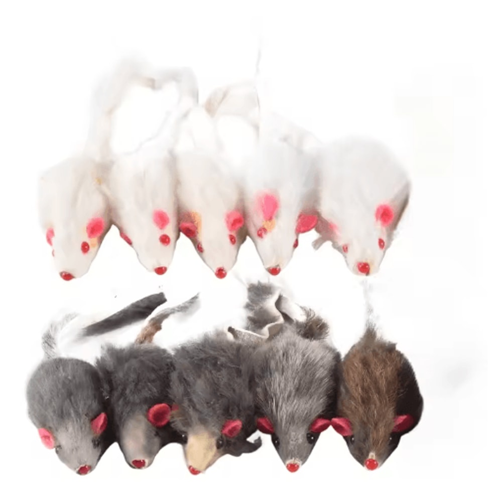 Plush Mouse Cat Toy 10Pack Cat Toys For Hunting Chasing Interactive Play 1