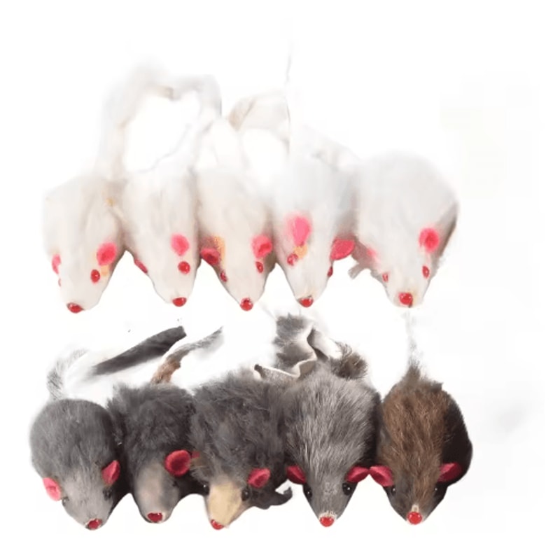 Plush Mouse Cat Toy 10Pack Cat Toys For Hunting Chasing Interactive Play 1