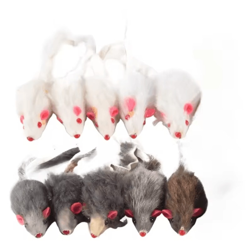 Plush Mouse Cat Toy 10Pack Cat Toys For Hunting Chasing Interactive Play 0