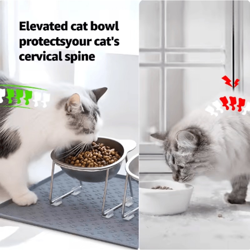 Elevated Stainless Steel Cat Bowl Raised Cat Bowl With 15 Tilted Design For Healthier Feeding 5