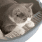 SemiEnclosed Cat Litter Box Cat Litter Box With High Sides Splashproof Design For Cleaner Homes 9
