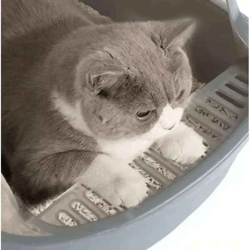 SemiEnclosed Cat Litter Box Cat Litter Box With High Sides Splashproof Design For Cleaner Homes 9