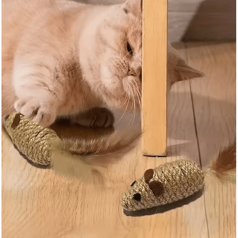 2Pack Feather Tail Mouse Cat Toys Interactive Cat Toys For Hunting Chewing Active Play 3
