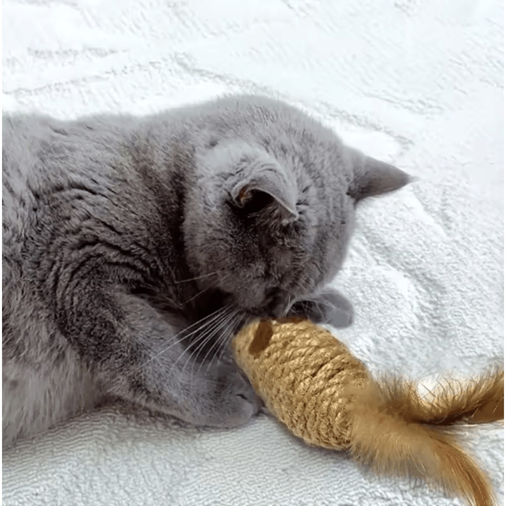 2Pack Feather Tail Mouse Cat Toys Interactive Cat Toys For Hunting Chewing Active Play 4