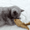 2Pack Feather Tail Mouse Cat Toys Interactive Cat Toys For Hunting Chewing Active Play 4