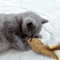 2Pack Feather Tail Mouse Cat Toys Interactive Cat Toys For Hunting Chewing Active Play 4