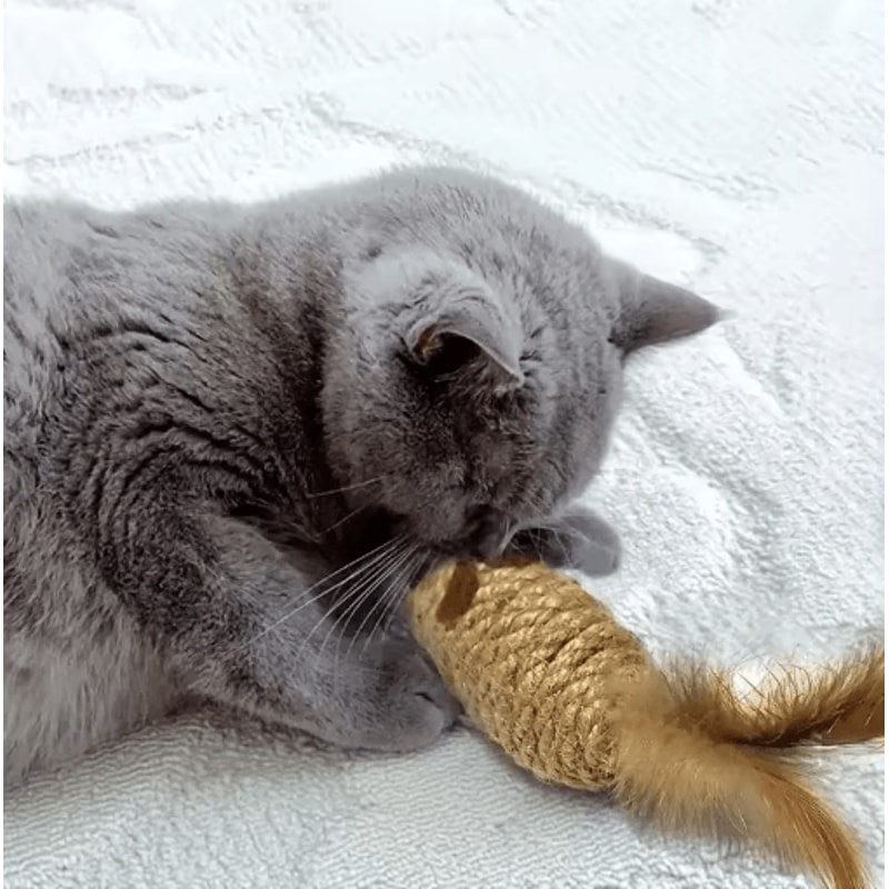 2Pack Feather Tail Mouse Cat Toys Interactive Cat Toys For Hunting Chewing Active Play 4