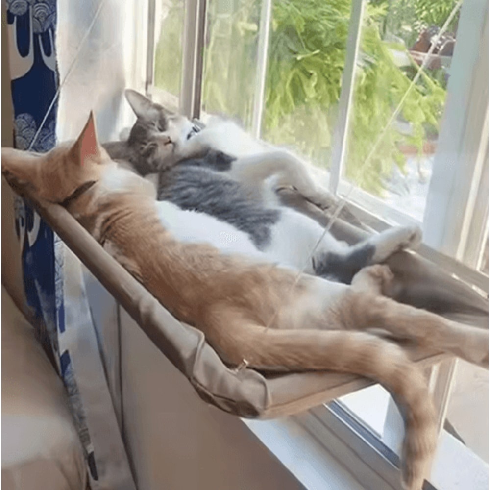 Window Mounted Cat Hammock Bed Cat Window Hammock With Strong Suction Cups For Lounging Climbing 11