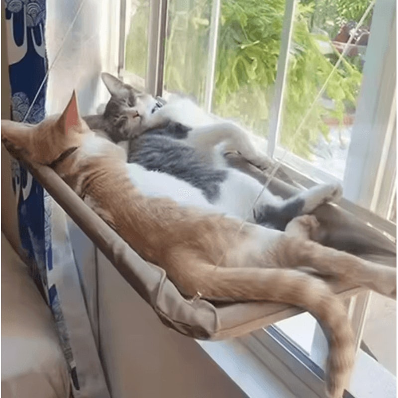 Window Mounted Cat Hammock Bed Cat Window Hammock With Strong Suction Cups For Lounging Climbing 11