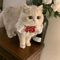 Princess Lace Pet Collar With Bow Bell Pet Collar For Cats Small Dogs 1