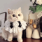 Princess Lace Pet Collar With Bow Bell Pet Collar For Cats Small Dogs 2