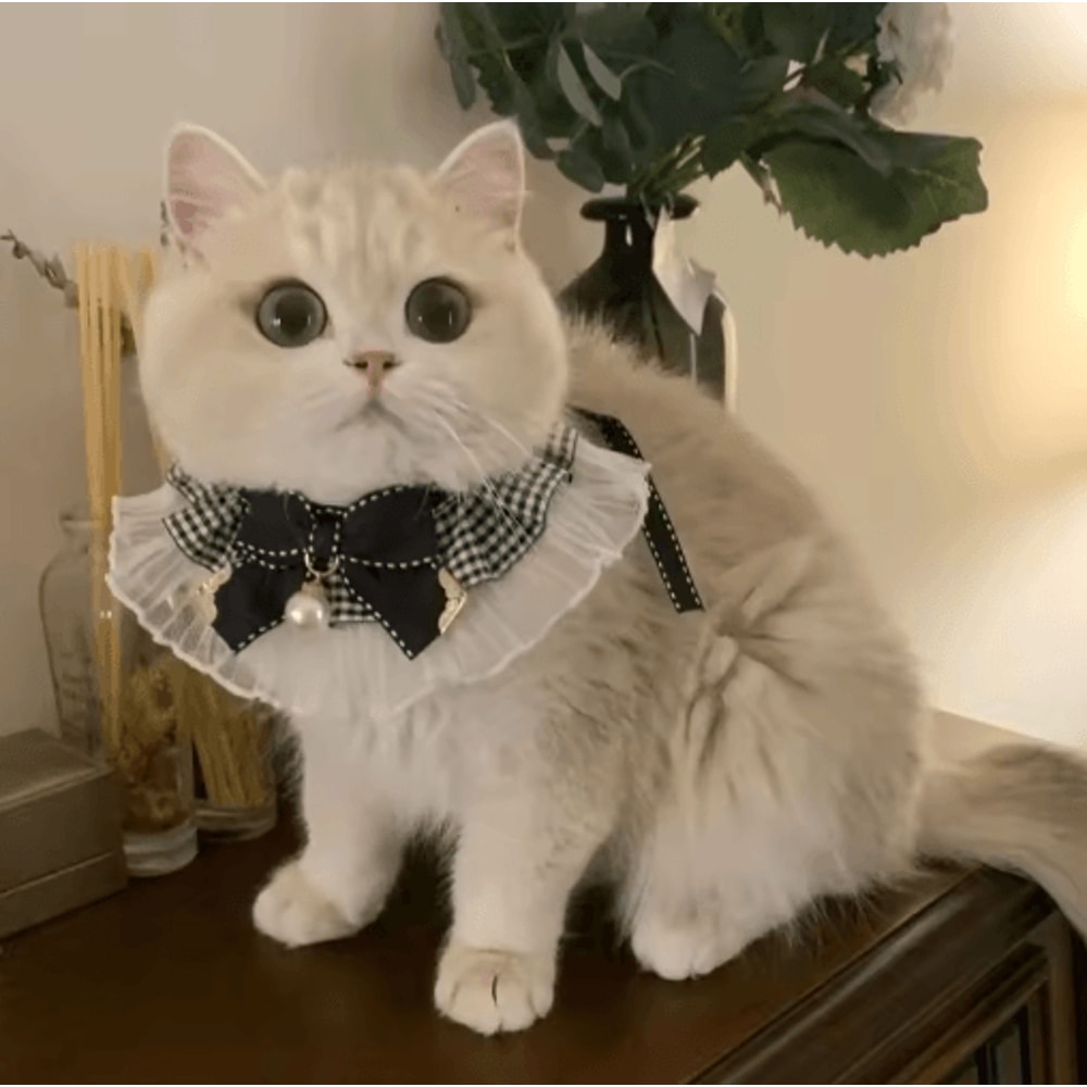 Princess Lace Pet Collar With Bow Bell Pet Collar For Cats Small Dogs 3