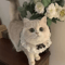 Princess Lace Pet Collar With Bow Bell Pet Collar For Cats Small Dogs 6