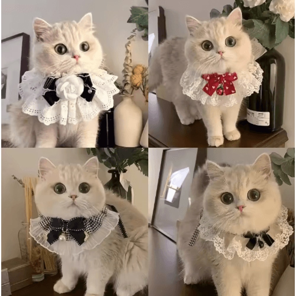 Princess Lace Pet Collar With Bow Bell Pet Collar For Cats Small Dogs 0