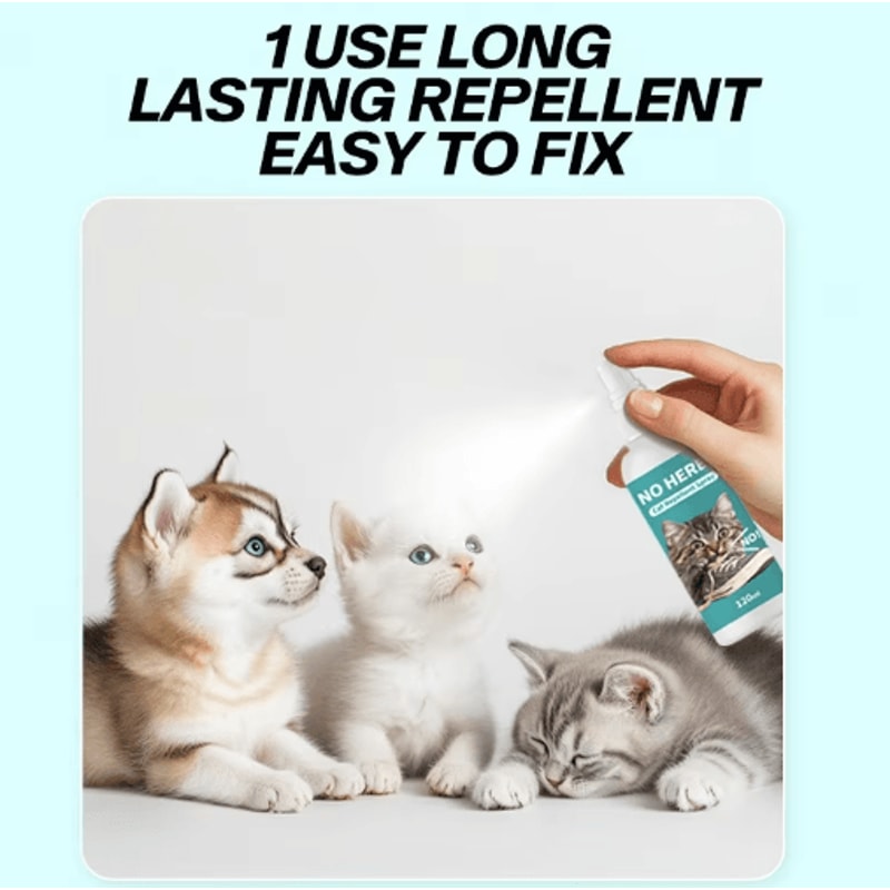 LongLasting Pet Repellent Spray Cat Repellent Spray For Furniture Protection Indoor Training 6