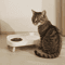 Elevated Double Pet Bowl Stand Double Pet Bowl With Neck Support AntiSpill Design For Cats Dogs 8