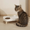 Elevated Double Pet Bowl Stand Double Pet Bowl With Neck Support AntiSpill Design For Cats Dogs 8