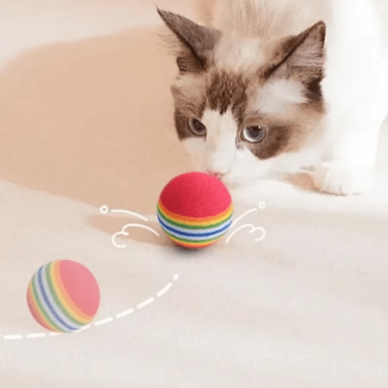 Rainbow EVA Pet Toy Balls Set Cat Toy Balls For Interactive Play Training Exercise 5