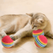 Rainbow EVA Pet Toy Balls Set Cat Toy Balls For Interactive Play Training Exercise 7