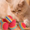 Rainbow EVA Pet Toy Balls Set Cat Toy Balls For Interactive Play Training Exercise 8