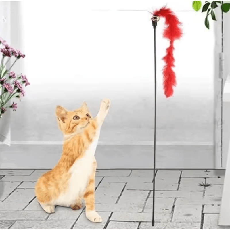 5Piece Turkey Feather Cat Teaser Wand Set Interactive Cat Toy With Wire Chaser Bell Attachments 4