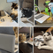 Mini Cat Laptop Toy Mirror Interactive Cat Toy For Curious Kittens Playful Cats 2