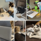 Mini Cat Laptop Toy Mirror Interactive Cat Toy For Curious Kittens Playful Cats 2