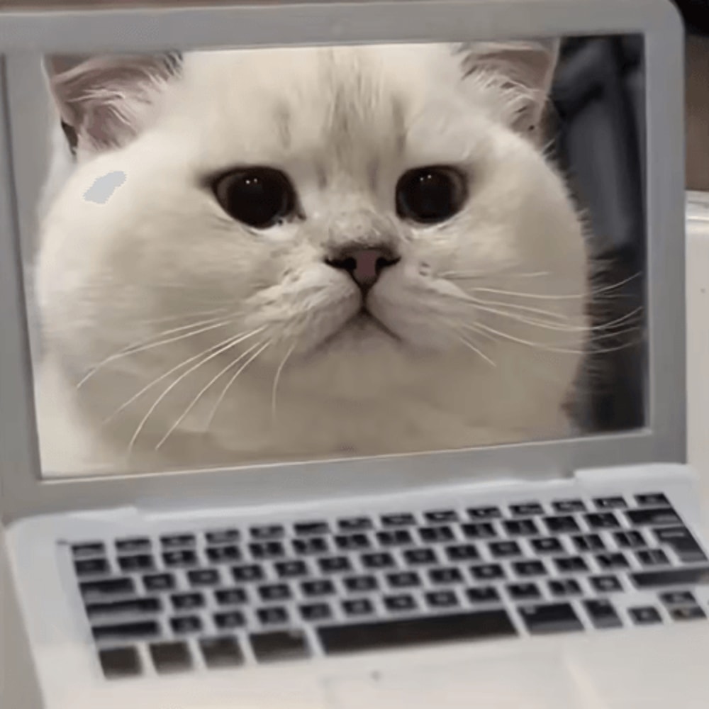 Mini Cat Laptop Toy Mirror Interactive Cat Toy For Curious Kittens Playful Cats 3
