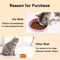 2Pack WhiskerFriendly Silicone Cat Plates Cat Feeding Bowls For Comfortable MessFree Mealtimes 10