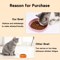 2Pack WhiskerFriendly Silicone Cat Plates Cat Feeding Bowls For Comfortable MessFree Mealtimes 10