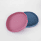 2Pack WhiskerFriendly Silicone Cat Plates Cat Feeding Bowls For Comfortable MessFree Mealtimes 5