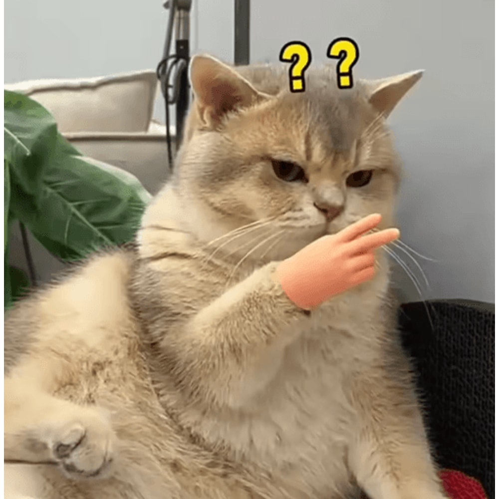 Stretchable Finger Cat Teaser Toy Interactive Cat Toy With HighElasticity TPR Design 16