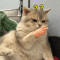 Stretchable Finger Cat Teaser Toy Interactive Cat Toy With HighElasticity TPR Design 16