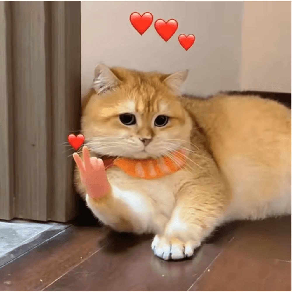 Stretchable Finger Cat Teaser Toy Interactive Cat Toy With HighElasticity TPR Design 17