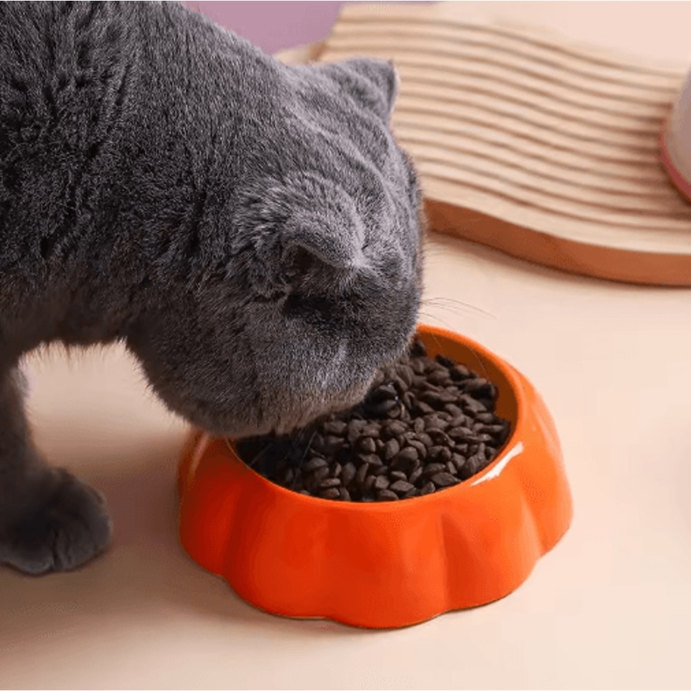 Cute Fruit Ceramic Pet Bowl Ceramic Cat Bowl In Watermelon Strawberry Designs For Cats And Small D 7
