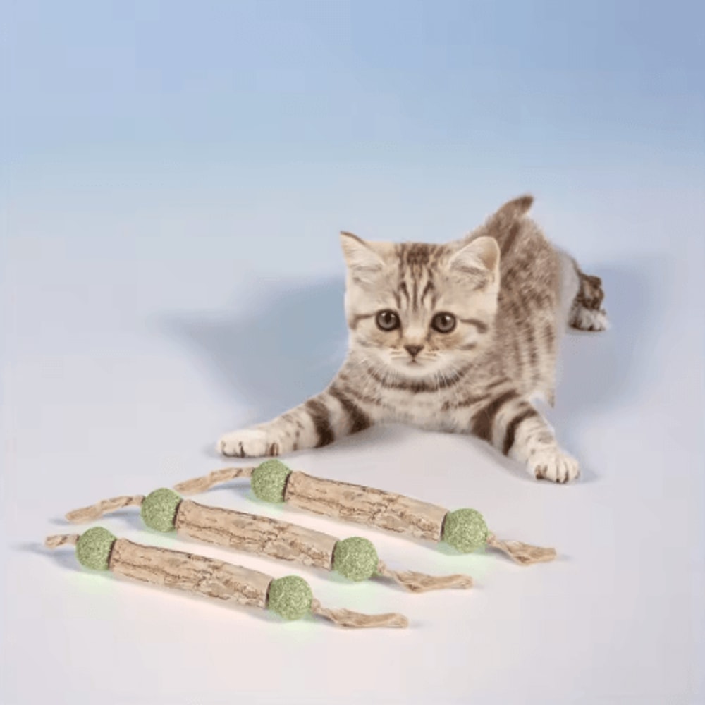 FreshMint Natural Catnip Dental Chew Stick For Teeth Cleaning 4