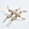 FreshMint Natural Catnip Dental Chew Stick For Teeth Cleaning 5