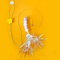 Hunt Bounce Automatic Door Hanging Cat Toy With Jumping YoYo Actio 6
