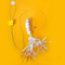 Hunt Bounce Automatic Door Hanging Cat Toy With Jumping YoYo Actio 6