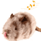 ChirpyPaws Interactive Sound Bird Cat Toy With Feather Teaser 2