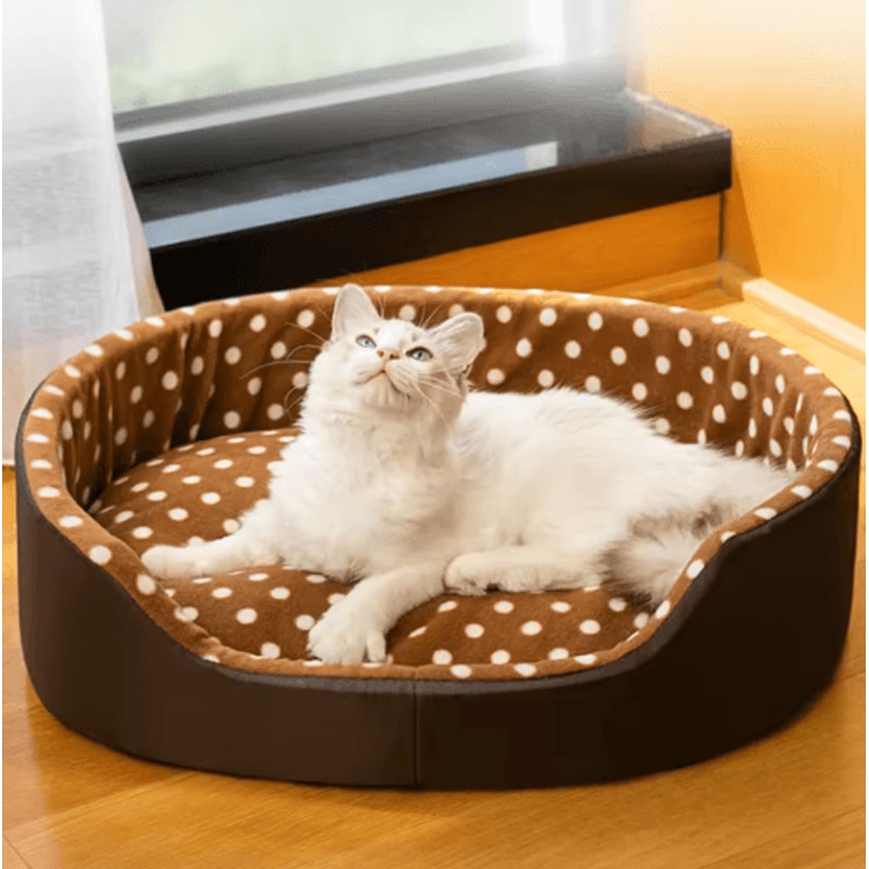 CozyCloud Dot Sponge Pet Bed Cushion For Cats And Small Dogs 3